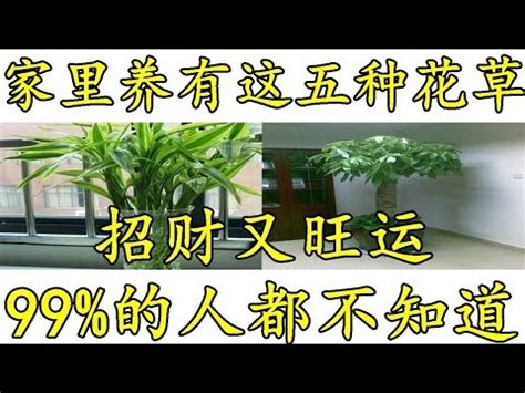 門口大門|大門口適合放什麼植物？風水師推薦發財樹、富貴竹、。